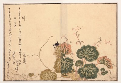 Earthworm and Black Cricket by Kitagawa Utamaro